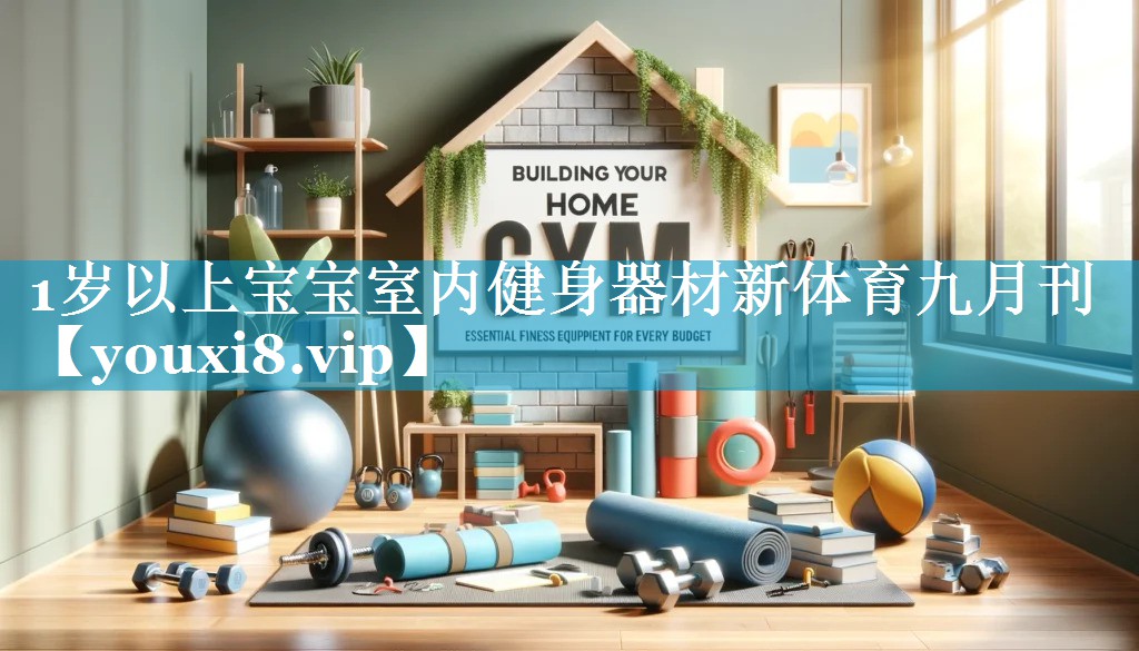 1岁以上宝宝室内健身器材新体育九月刊