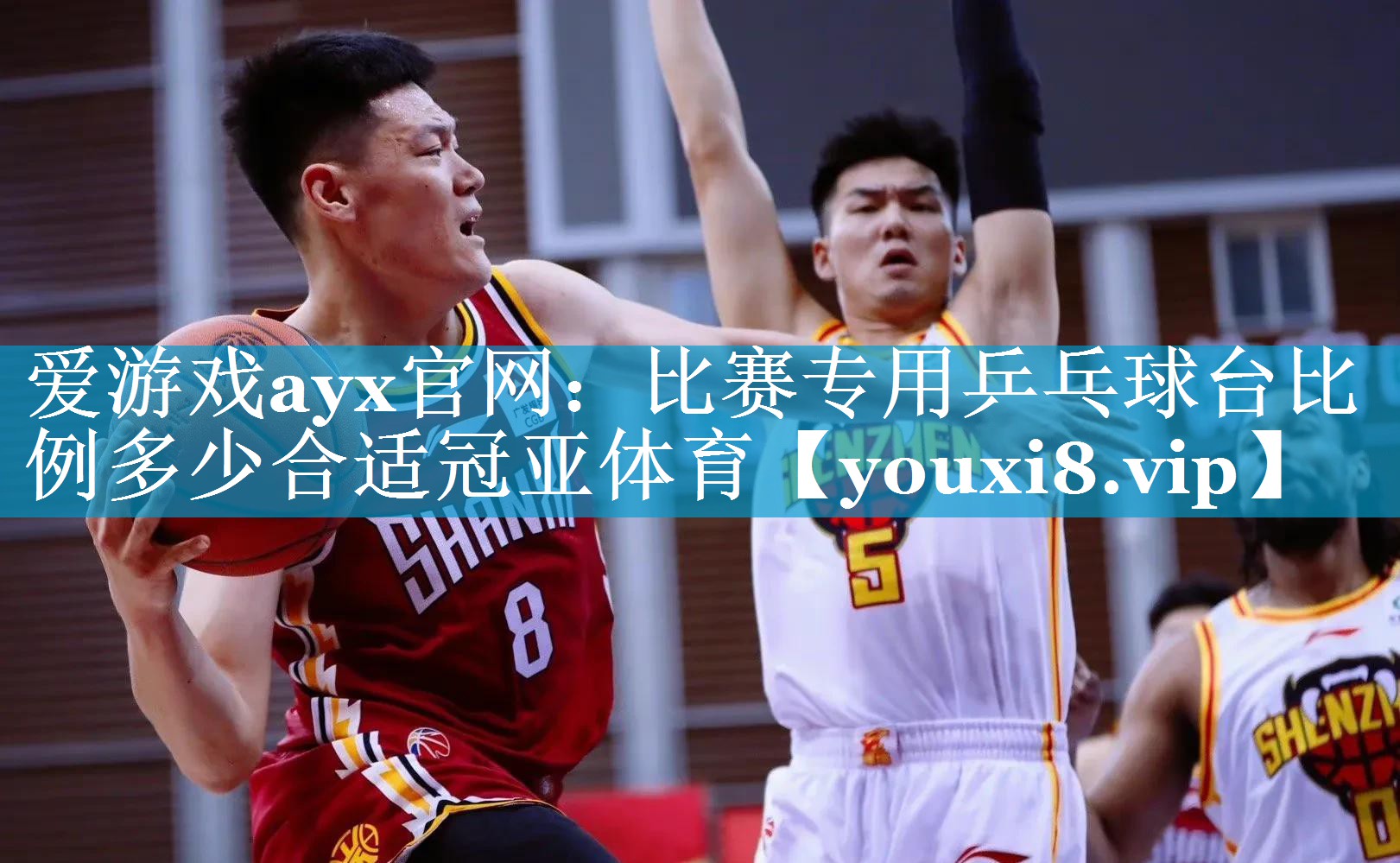 爱游戏ayx官网：比赛专用乒乓球台比例多少合适冠亚体育