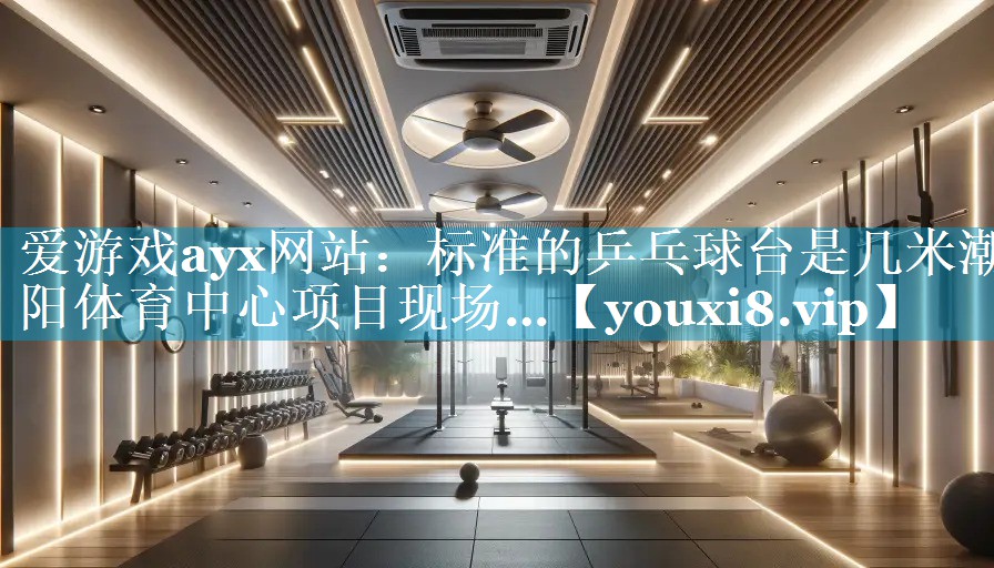 爱游戏ayx网站：标准的乒乓球台是几米潮阳体育中心项目现场…