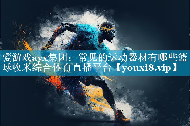 爱游戏ayx集团：常见的运动器材有哪些篮球收米综合体育直播平台