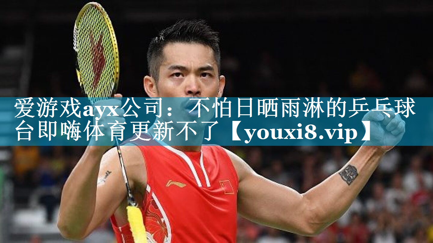爱游戏ayx公司：不怕日晒雨淋的乒乓球台即嗨体育更新不了