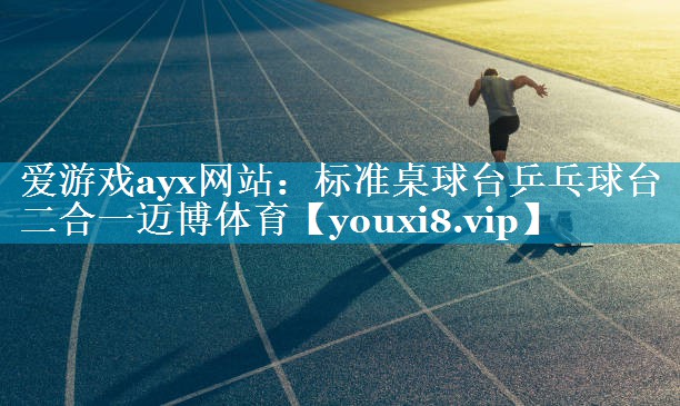爱游戏ayx网站：标准桌球台乒乓球台二合一迈博体育