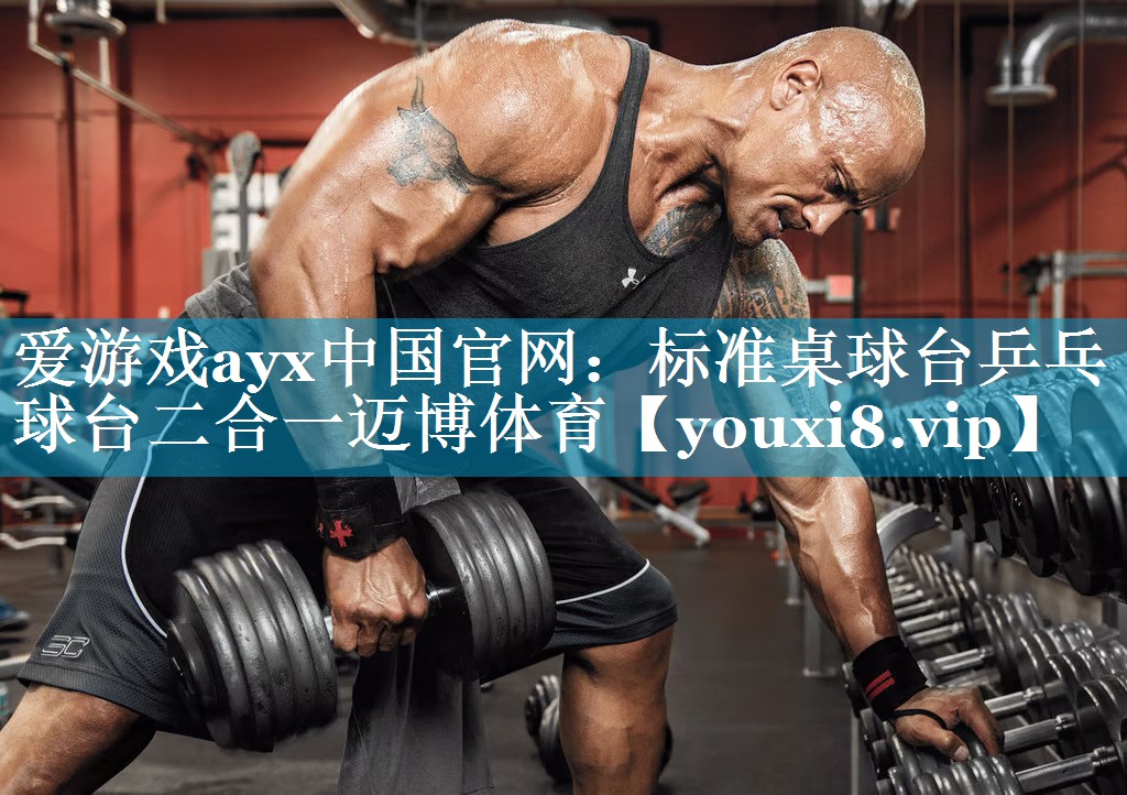 爱游戏ayx中国官网：标准桌球台乒乓球台二合一迈博体育