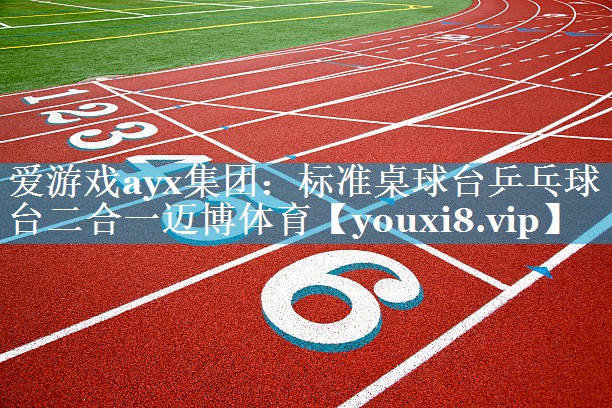 爱游戏ayx集团：标准桌球台乒乓球台二合一迈博体育