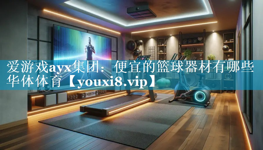 爱游戏ayx集团：便宜的篮球器材有哪些华体体育