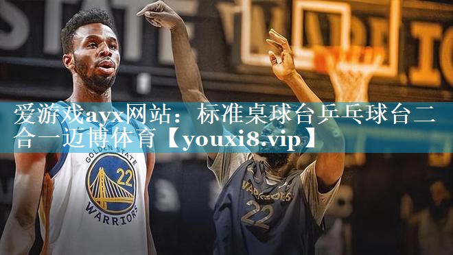 爱游戏ayx网站：标准桌球台乒乓球台二合一迈博体育