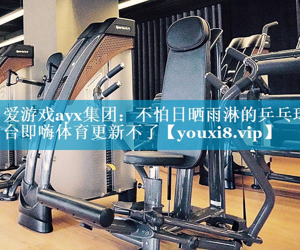 爱游戏ayx集团：不怕日晒雨淋的乒乓球台即嗨体育更新不了