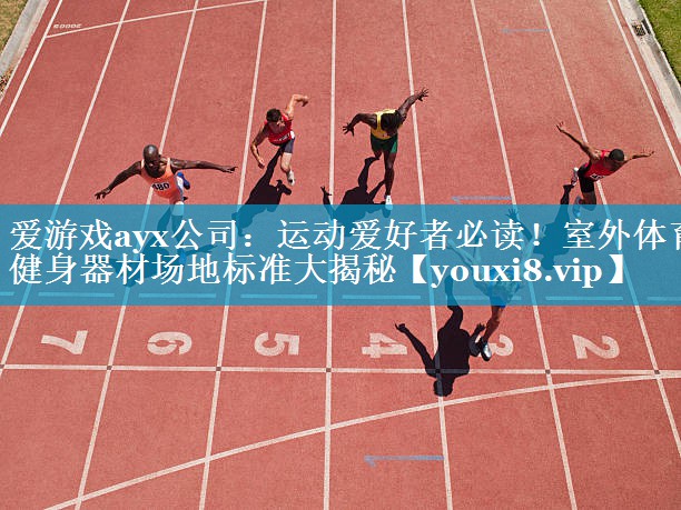 爱游戏ayx公司：运动爱好者必读！室外体育健身器材场地标准大揭秘