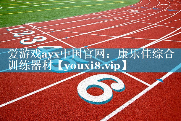 爱游戏ayx中国官网：康乐佳综合训练器材