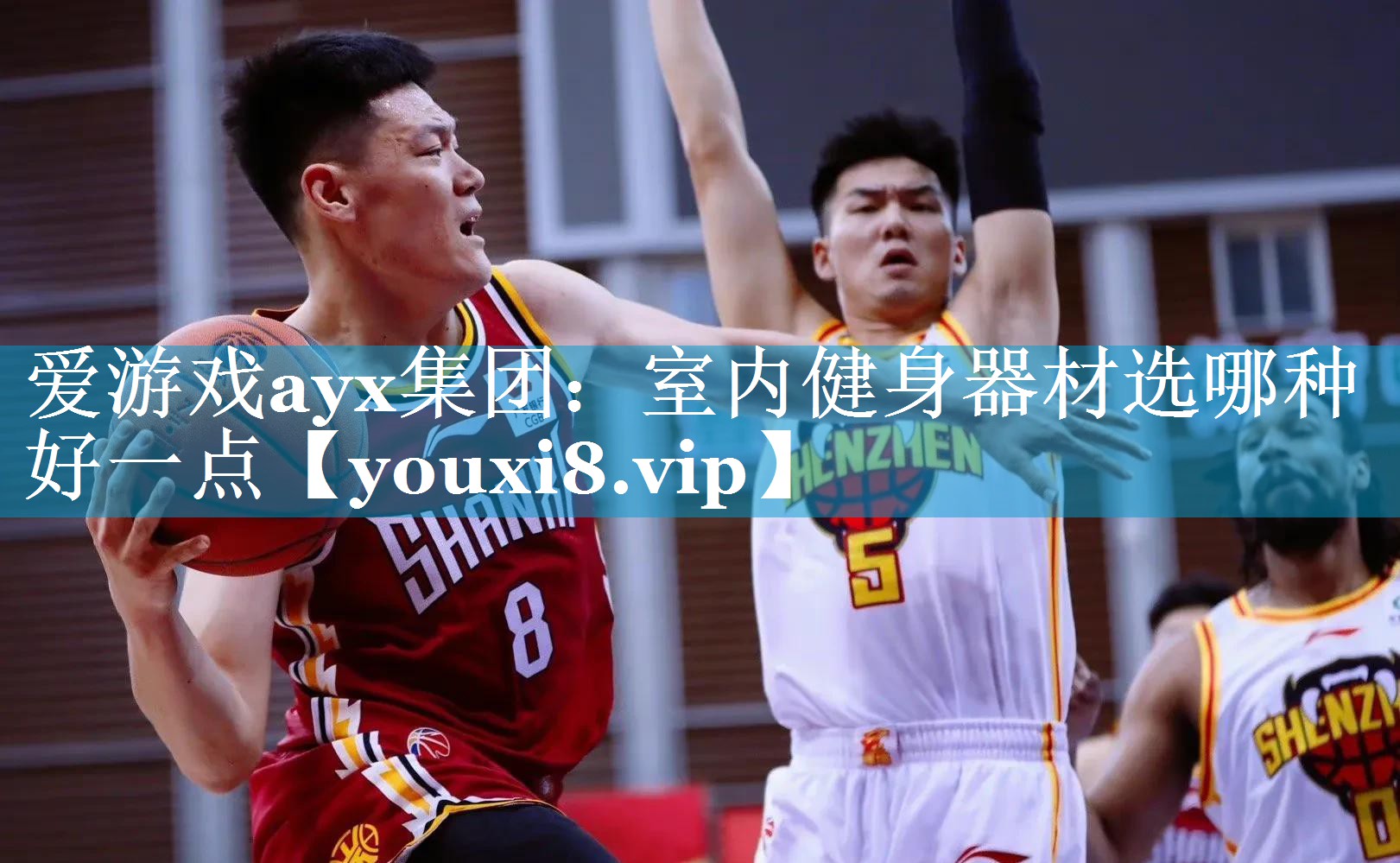 爱游戏ayx集团：室内健身器材选哪种好一点