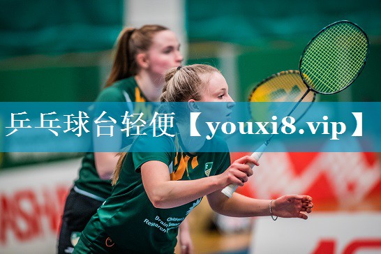 乒乓球台轻便 乒乓球台轻便